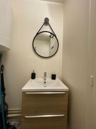 une salle de bain avec un lavabo et un miroir au mur dans l'établissement Rouen Centre - Joli studio avec espace extérieur, à Rouen