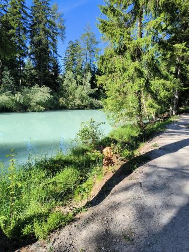Paesaggio naturale nelle vicinanze dello chalet