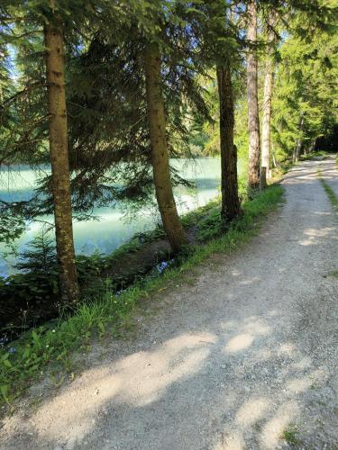 Paesaggio naturale nelle vicinanze dello chalet