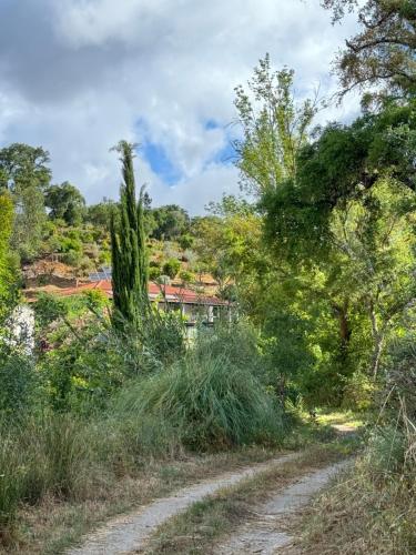 Φυσικό τοπίο κοντά σε αυτό το bed & breakfast