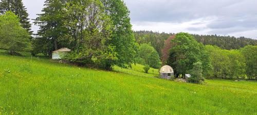 a green field with a grassy hill with trees at La Petite Echelle in Rochejean