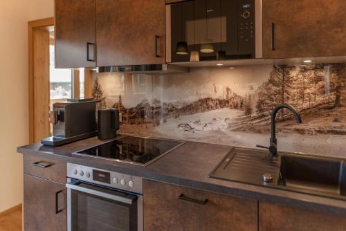 a kitchen with a sink and a stove top oven at Apartments Haufhof , Haus im Ennstal bei Schladming in Haus im Ennstal