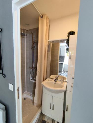 une salle de bain avec un lavabo et une douche dans l'établissement franck, à Marcorignan