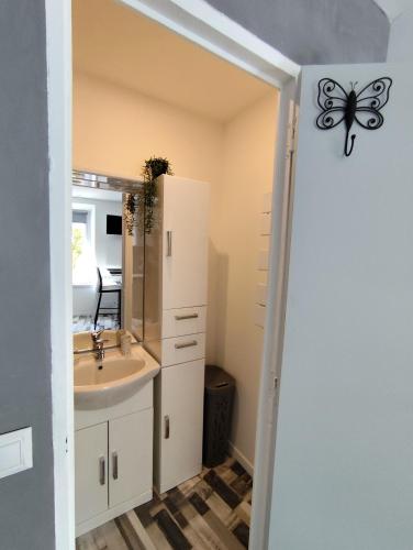 une salle de bain avec un lavabo et un miroir dans l'établissement franck, à Marcorignan