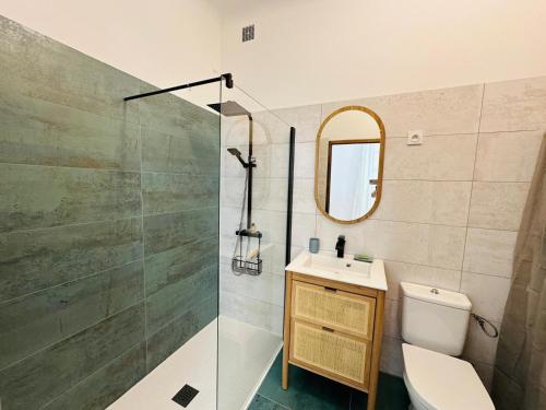 une salle de bain avec une douche, des toilettes et un lavabo dans l'établissement Appartement au cœur de l'Ecusson, à Nîmes
