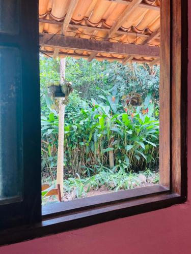 a window with a view of a garden with plants at Hospedagem Sabor Da Trilha in Vale do Capao