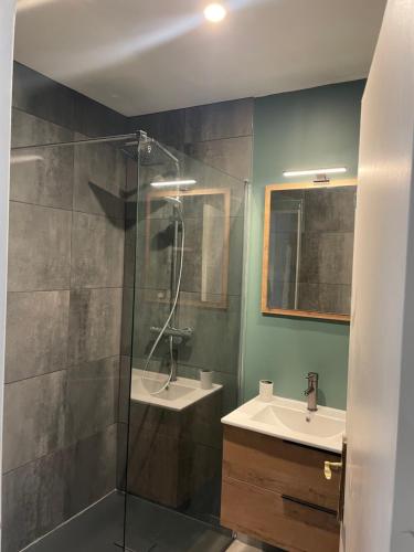 une salle de bain avec douche et lavabo dans l'établissement St Hilaire St Florent, à Saumur