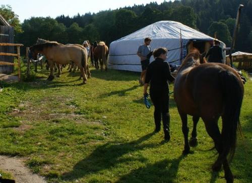 a group of people walking horses in a field at La Petite Echelle in Rochejean