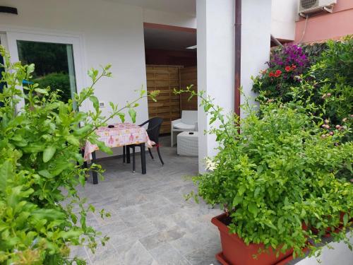 Gallery image of ***Villa Prestige**** in Capoliveri