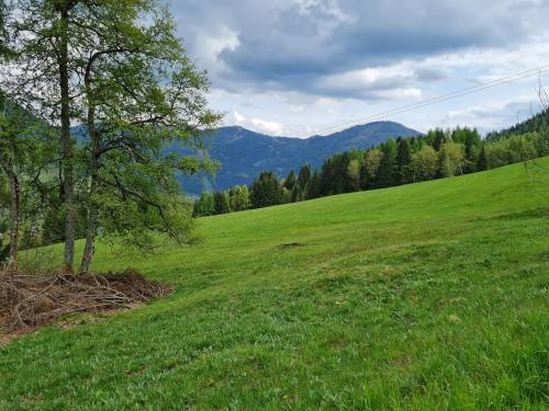 a green field with a tree and mountains in the background at Der Kristall by Globalimmoservice in Bad Kleinkirchheim