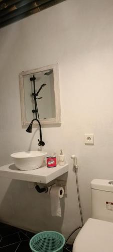 a bathroom with a sink and a mirror and a toilet at Batur Homestay and Lodge in Bangli