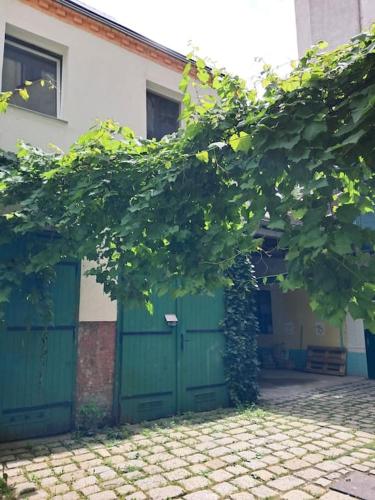 Gesamte Unterkunft Apartment in Wien, Österreich