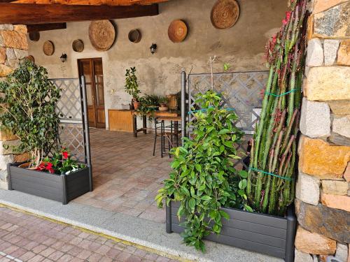a patio with plants and a table in a building at B&B Nuraximannu in Santadi