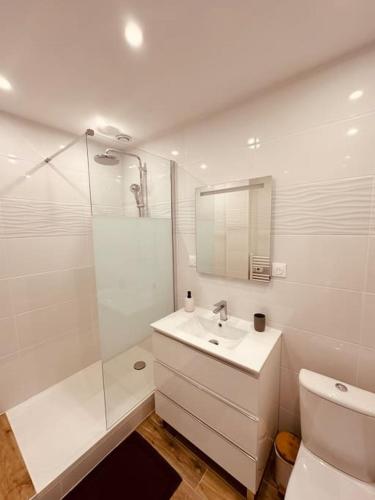 une salle de bain blanche avec un lavabo et une douche dans l'établissement Studio Churchill hypercentre, à Charleville-Mézières