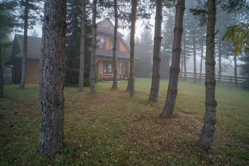 a house in the middle of a forest of trees at Jaworówka na Polnej in Nowy Targ