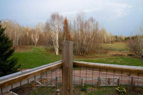 a fence in front of a field with trees at White Horse Stable in Bayfield