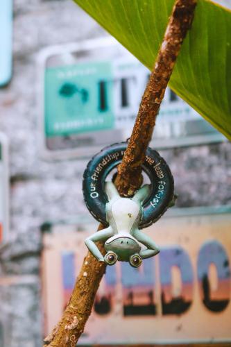Gambar di galeri bagi Village Potira - The Guest House di Rio de Janeiro