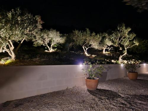 Galeriebild der Unterkunft Villa Olivetum in Marina