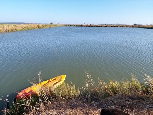 a yellow kayak sitting on the shore of a lake at COMPORTA SIDE - Lake in Setúbal