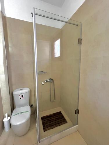 a bathroom with a shower with a toilet at ATHANASIA APARTMENTS in Skiathos Town