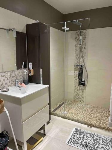 une salle de bain avec un lavabo et une douche dans l'établissement Charmante maison sur propriété, à Orly