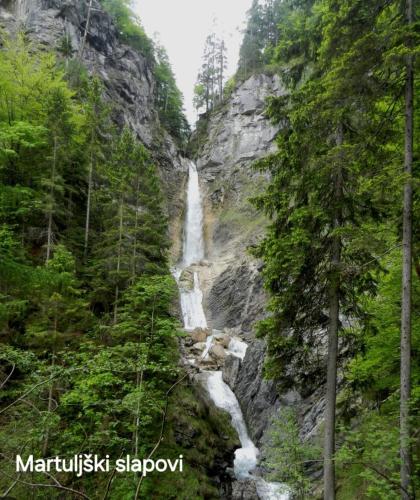 a waterfall in the middle of a forest at Apartma Bogi Kranjska Gora in Kranjska Gora