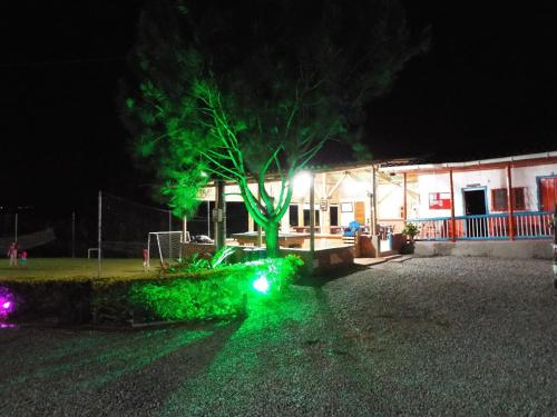 a tree with green lights in front of a building at Hotel Campestre Alto Bonito del Quindío in El Cuzco