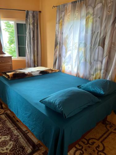 ein blaues Bett mit blauen Kissen im Schlafzimmer in der Unterkunft O- T on the rise in Tweedside
