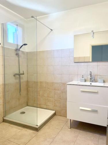 une salle de bain avec douche et lavabo dans l'établissement Premier étage d'une maison de campagne avec jardin, à Serra-di-Ferro