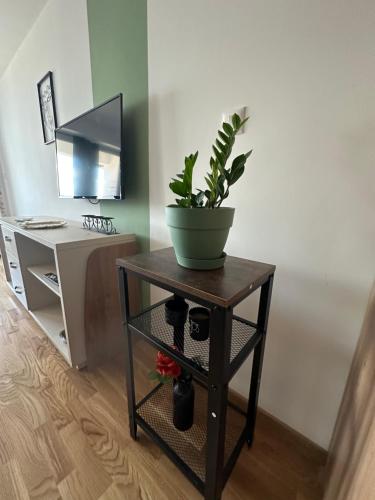 a potted plant on a table in a room at Apartments Jana in Skopje