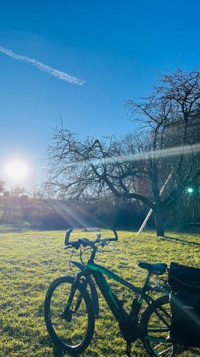 a bike parked in the grass in a field at Appartments - Stromberg & Zabergäu in Erligheim