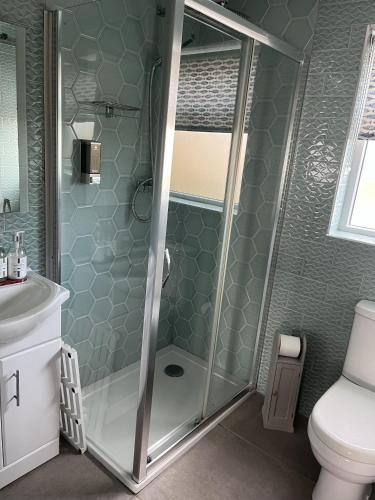 a bathroom with a shower and a toilet at Salmon House in Stornoway