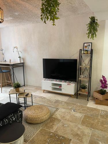 a living room with a large flat screen tv at Le Nid d'abeille, la ruche rurale in Manosque