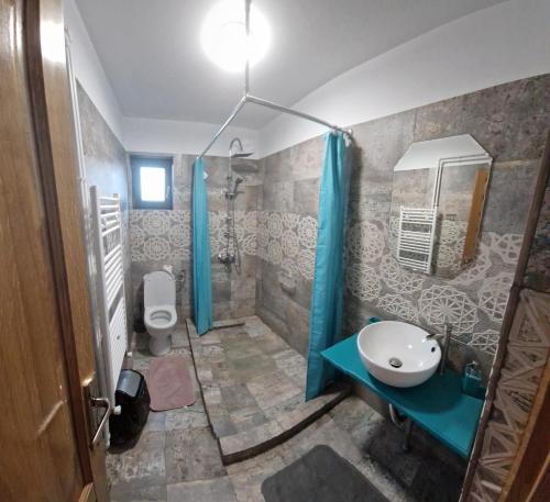 Koupelna v ubytování Casa Țache