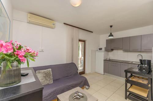 Apartments Plava plaza Daniela