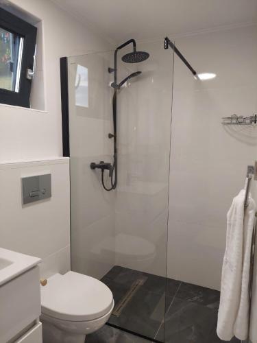 a bathroom with a toilet and a glass shower at Fancy Maisonnette in Gura Humorului