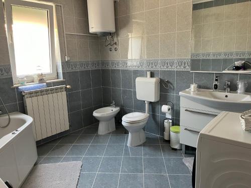 Ένα μπάνιο στο Holiday house Gabi Istria