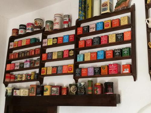 a bunch of books are on a shelf on a wall at a casa di nonna Cami in Torre delle Stelle