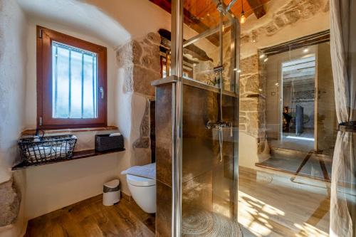 a bathroom with a shower and a toilet at Villa Veselici in Labin