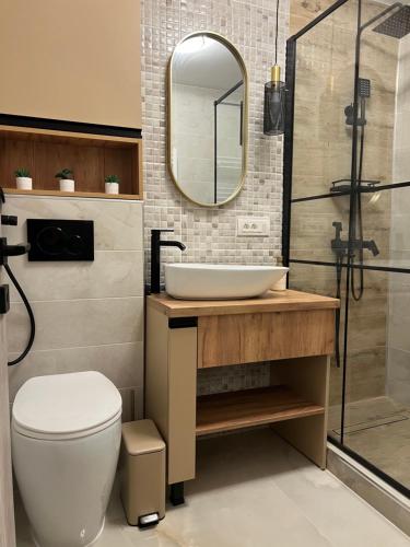 ein Badezimmer mit Waschbecken, Toilette und Spiegel in der Unterkunft IMPERIUM DK STUDIO in Giurgiu