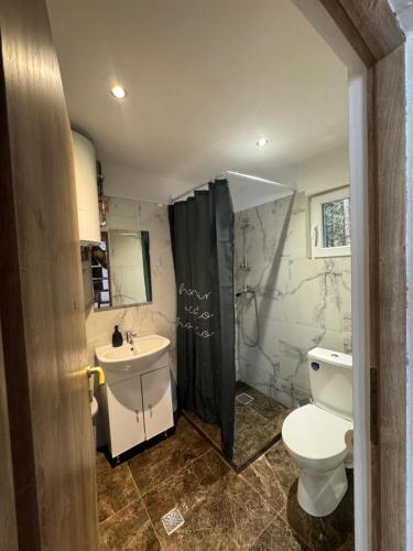 a bathroom with a toilet and a sink at Woodland house in Sîntimbru-Băi