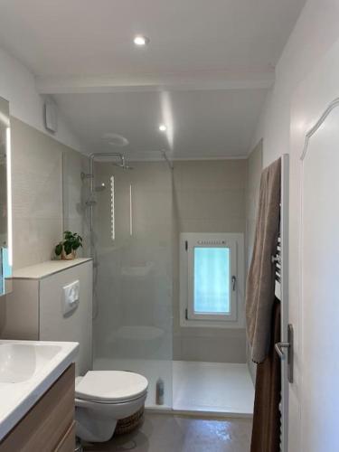 une salle de bain blanche avec toilettes et douche dans l'établissement villa en provence avec piscine, aux Angles (Gard)