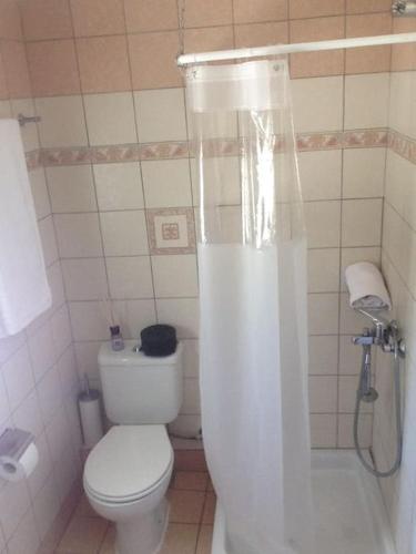 a small bathroom with a toilet and a shower at Villa Lucia in Lixouri