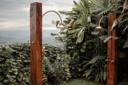 a door that is open to a garden at Atardeceres del Cafe in Manizales