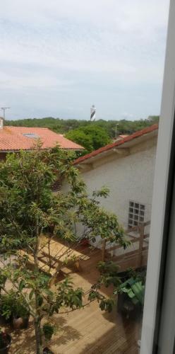 - une vue depuis la fenêtre d'un bâtiment avec un arbre dans l'établissement Maison Sophie, à Saint-Julien-en-Born