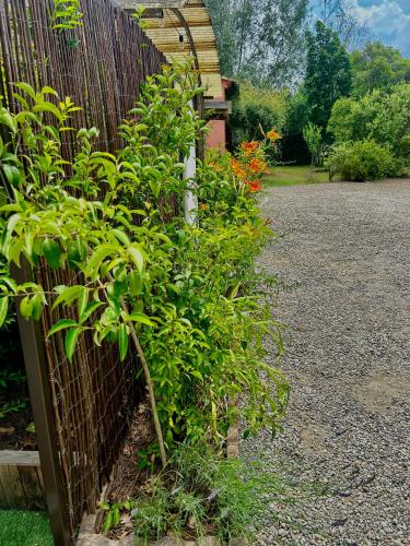 a fence with a bunch of plants next to it at Domaine Plan des Devens in Roussillon