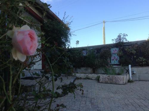 a pink rose is growing in front of a building at Harrieta in Masparraute