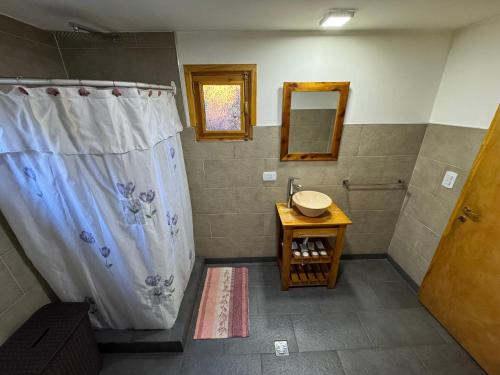 een badkamer met een douche met wastafel en spiegel bij Casa Mallin Azul in El Bolsón