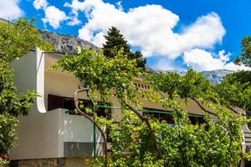 Apartments with parking space Brela, Makarska - 18417