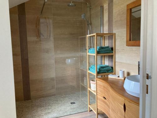 a bathroom with a shower with a sink and a toilet at Charmante maison rénovée au calme avec jardin privatif, à 500m des plages et proche commerces - FR-1-306-1082 in Batz-sur-Mer